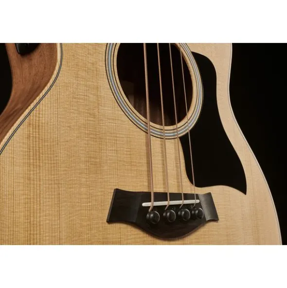 Taylor GS Mini-e Bass