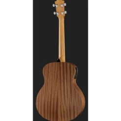 Taylor GS Mini-e Bass