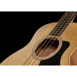 Taylor GS Mini-e Bass