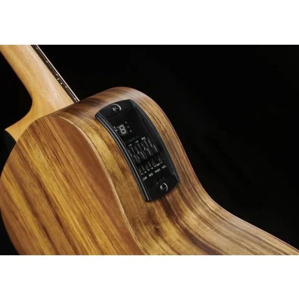 Taylor GS Mini-e Koa