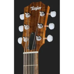 Taylor GS Mini-e Rosewood SB