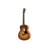 Taylor GS Mini-e Special Edit B-Stock