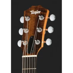 Taylor GS Mini-e Special Edition HB