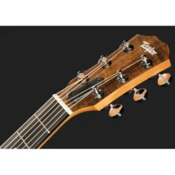 Taylor GS Mini-e Special Edition HB