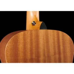 Taylor GS Mini Mahogany