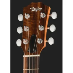 Taylor GS Mini Sapele Torrefied Top