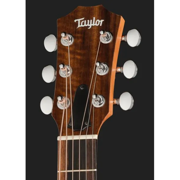 Taylor GS Mini Sapele Torrefied Top
