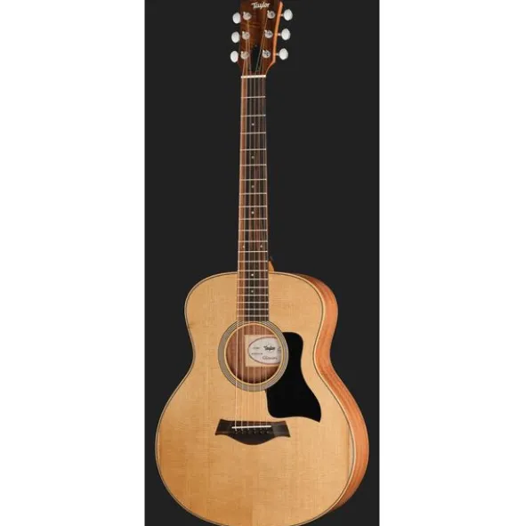 Taylor GS Mini Sapele Torrefied Top