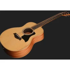 Taylor GS Mini Sapele Torrefied Top