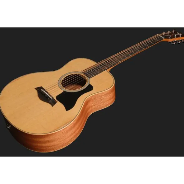 Taylor GS Mini Sapele Torrefied Top
