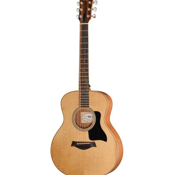 Taylor GS Mini Sapele Torrefied Top