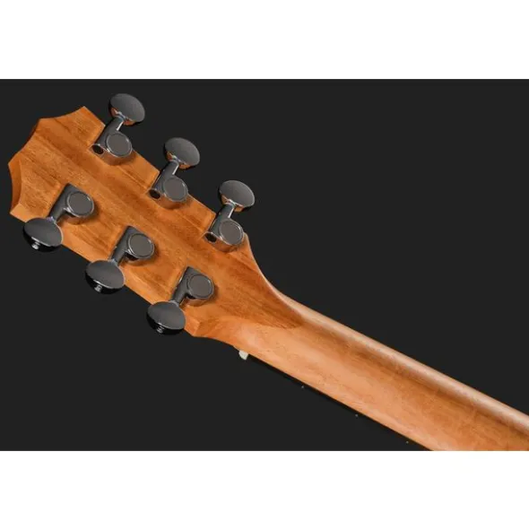 Taylor GS Mini Sapele Torrefied Top