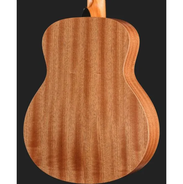 Taylor GS Mini Sapele Torrefied Top