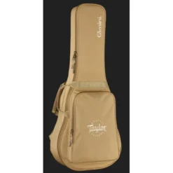 Taylor GS Mini Sapele Torrefied Top