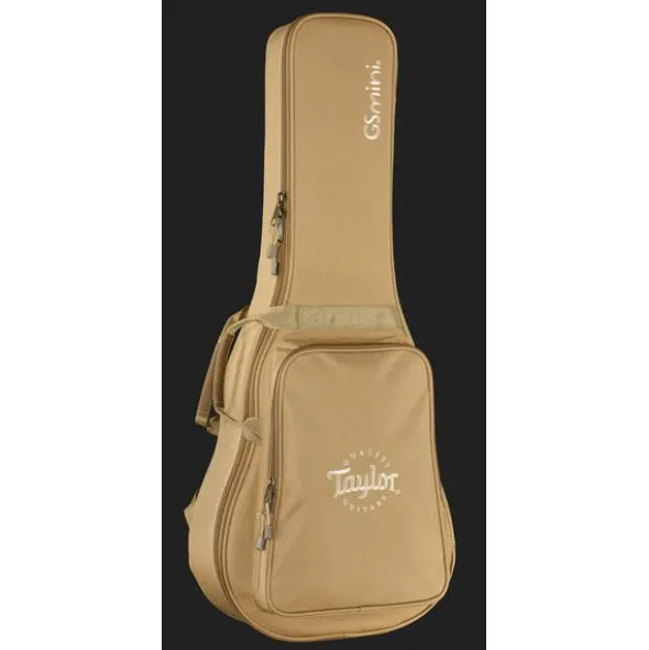 Taylor GS Mini Sapele Torrefied Top