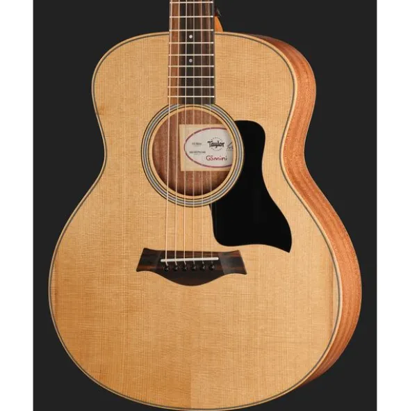 Taylor GS Mini Sapele Torrefied Top