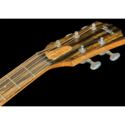 Taylor Jacob Collier Sign. JCSM-5