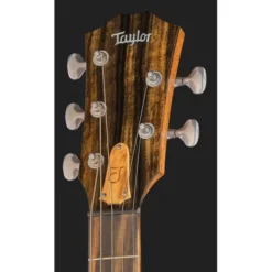 Taylor Jacob Collier Sign. JCSM-5