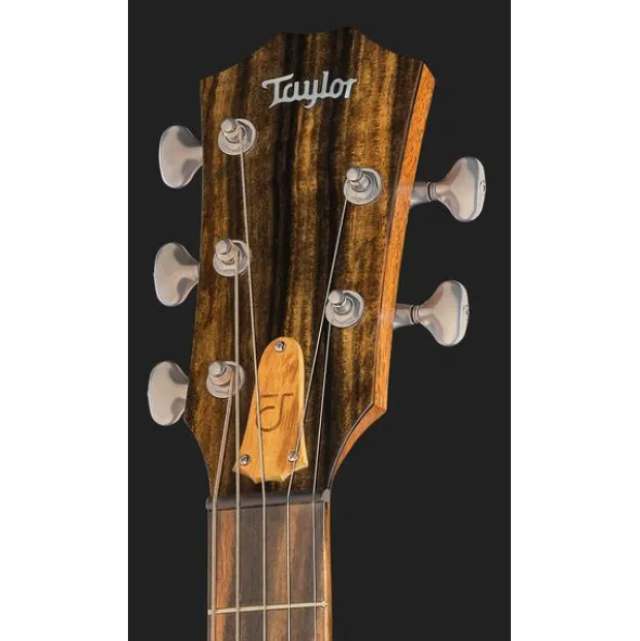 Taylor Jacob Collier Sign. JCSM-5