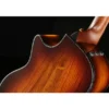 Taylor PS12ce Honduran Rosewood