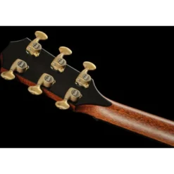 Taylor PS12ce Honduran Rosewood