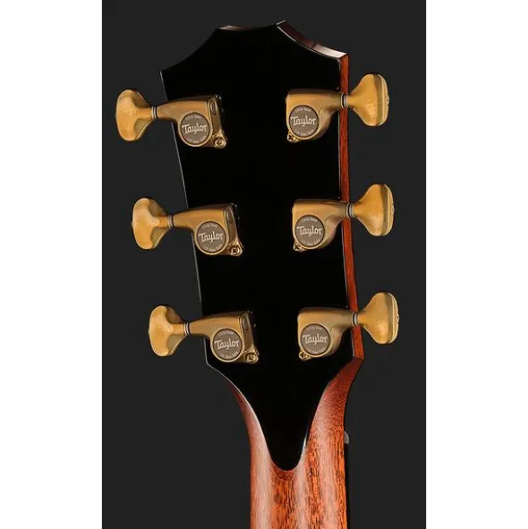 Taylor PS12ce Honduran Rosewood