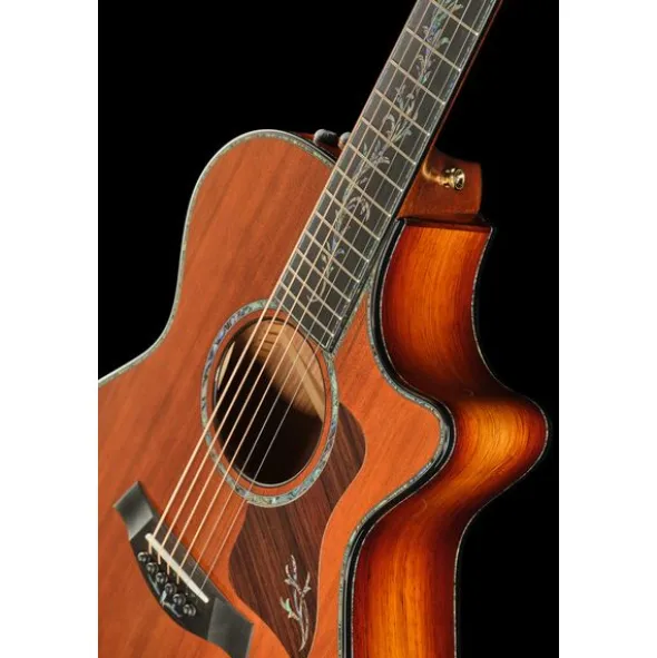 Taylor PS12ce Honduran Rosewood