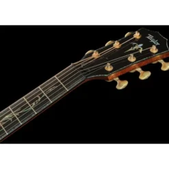 Taylor PS12ce Honduran Rosewood