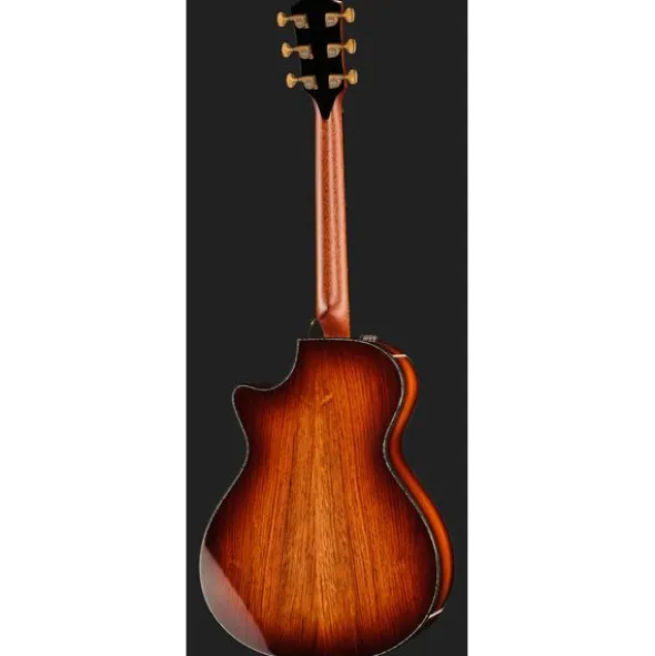 Taylor PS12ce Honduran Rosewood