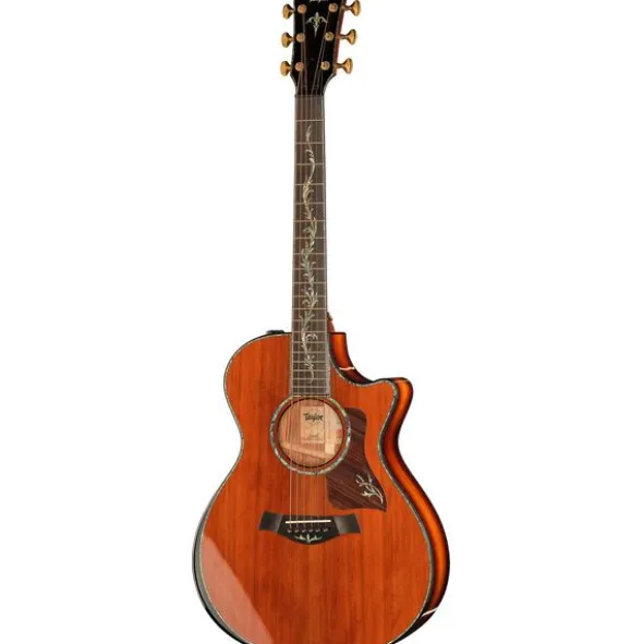 Taylor PS12ce Honduran Rosewood