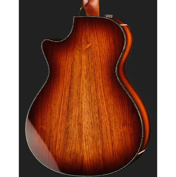 Taylor PS12ce Honduran Rosewood
