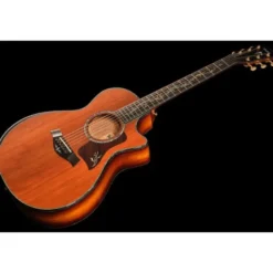 Taylor PS12ce Honduran Rosewood