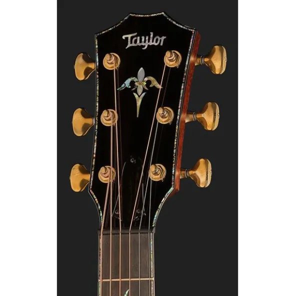 Taylor PS12ce Honduran Rosewood