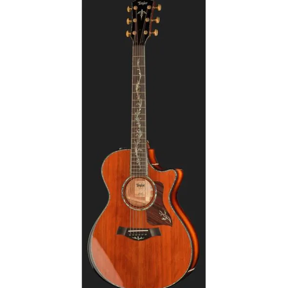 Taylor PS12ce Honduran Rosewood