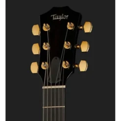 Taylor T5z Custom Koa