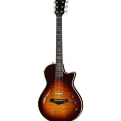 Taylor T5z Pro TSB