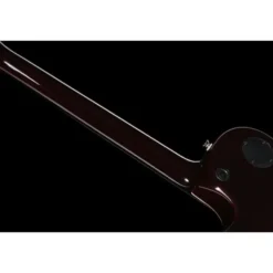 Taylor T5z Pro TSB