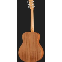 Taylor ZEDD GS Mini Telos Special Ed