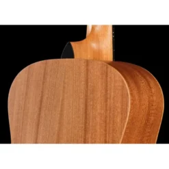 Taylor ZEDD GS Mini Telos Special Ed
