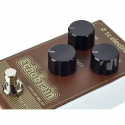 tc electronic Echobrain Analog Delay