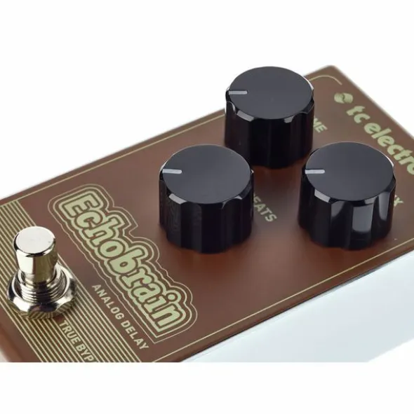 tc electronic Echobrain Analog Delay