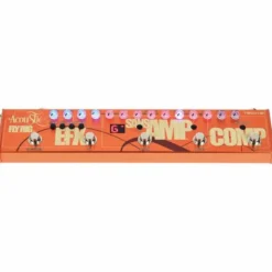 Tech 21 Acoustic SansAmp Fly Rig