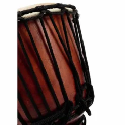 Terre Djembe Carved Dragon 50cm