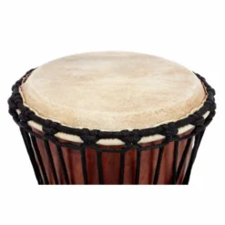 Terre Djembe Carved Dragon 50cm
