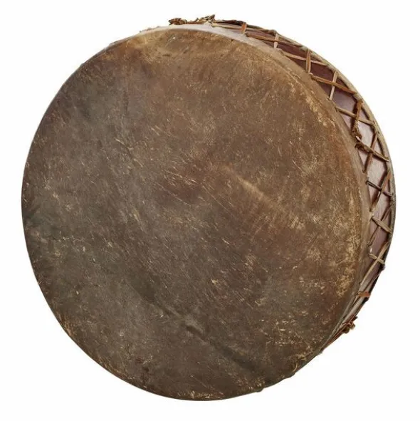 Terre Motherdrum 100