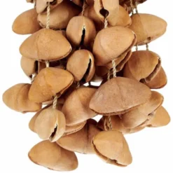 Terre Seed Shaker XXL Cha Cha Nut
