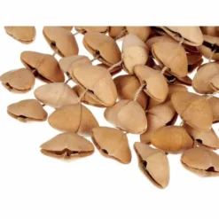 Terre Seed Shaker XXL Cha Cha Nut