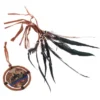 Terre Shaman Drum Thunderbird 40cm