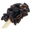 Terre Stickshaker Juju Bean