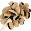 Terre Stickshaker Pangi Seeds